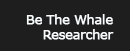 Be A Whale Researcher