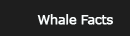 Whale Facts
