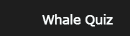 whale Quiz